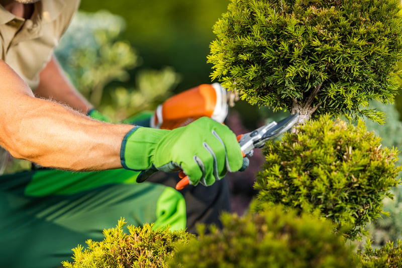 Sự kiện đặc biệt quy tụ các chuyên gia và đối tác trong ngành xây dựng